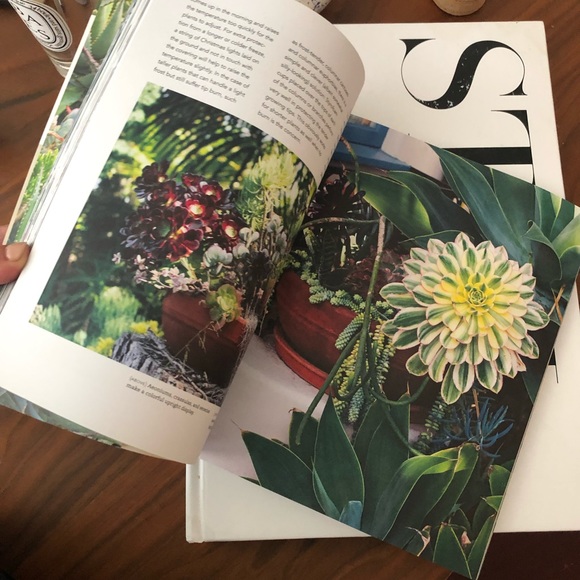 Succulents Book - Picture 5 of 6